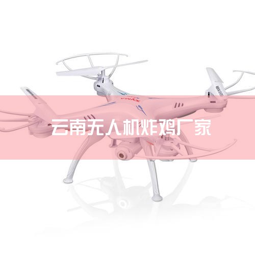 Ϲ,׷ԭ2019.11.17һmavic miniֱڶ... ڼҾ˺ܶըθ޷ٴʹõĽҶ֦硢ѩͳ...,˻UAV