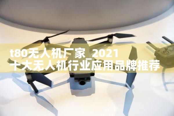 t80˻|˻UAV