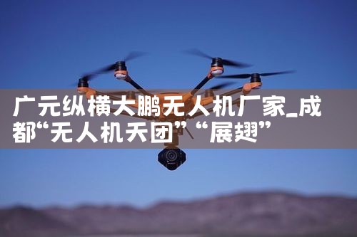 Ԫݺ˻|˻UAV